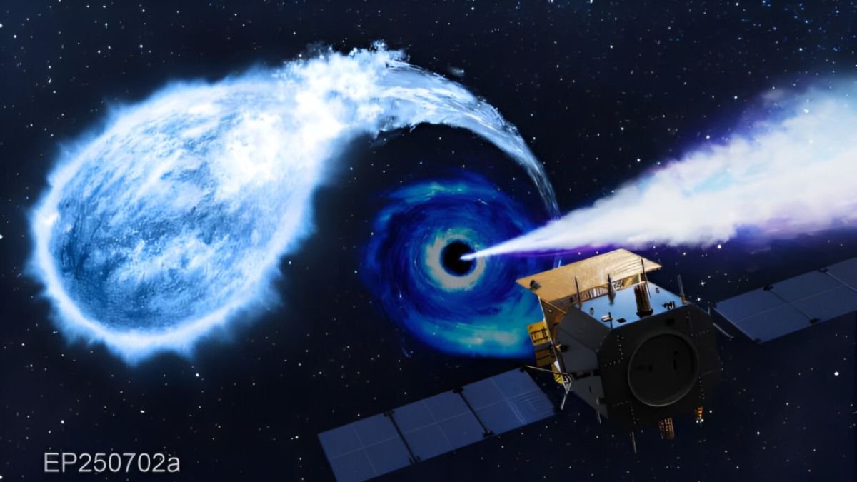 A possible first-ever Einstein probe observation of a black hole tearing apart a white dwarf